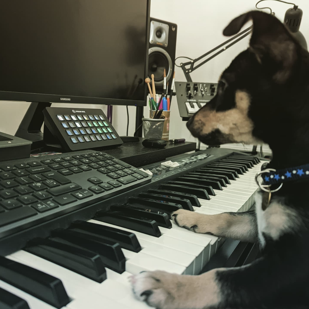 Sam Paul Toms composing music in the studio for a documentary film