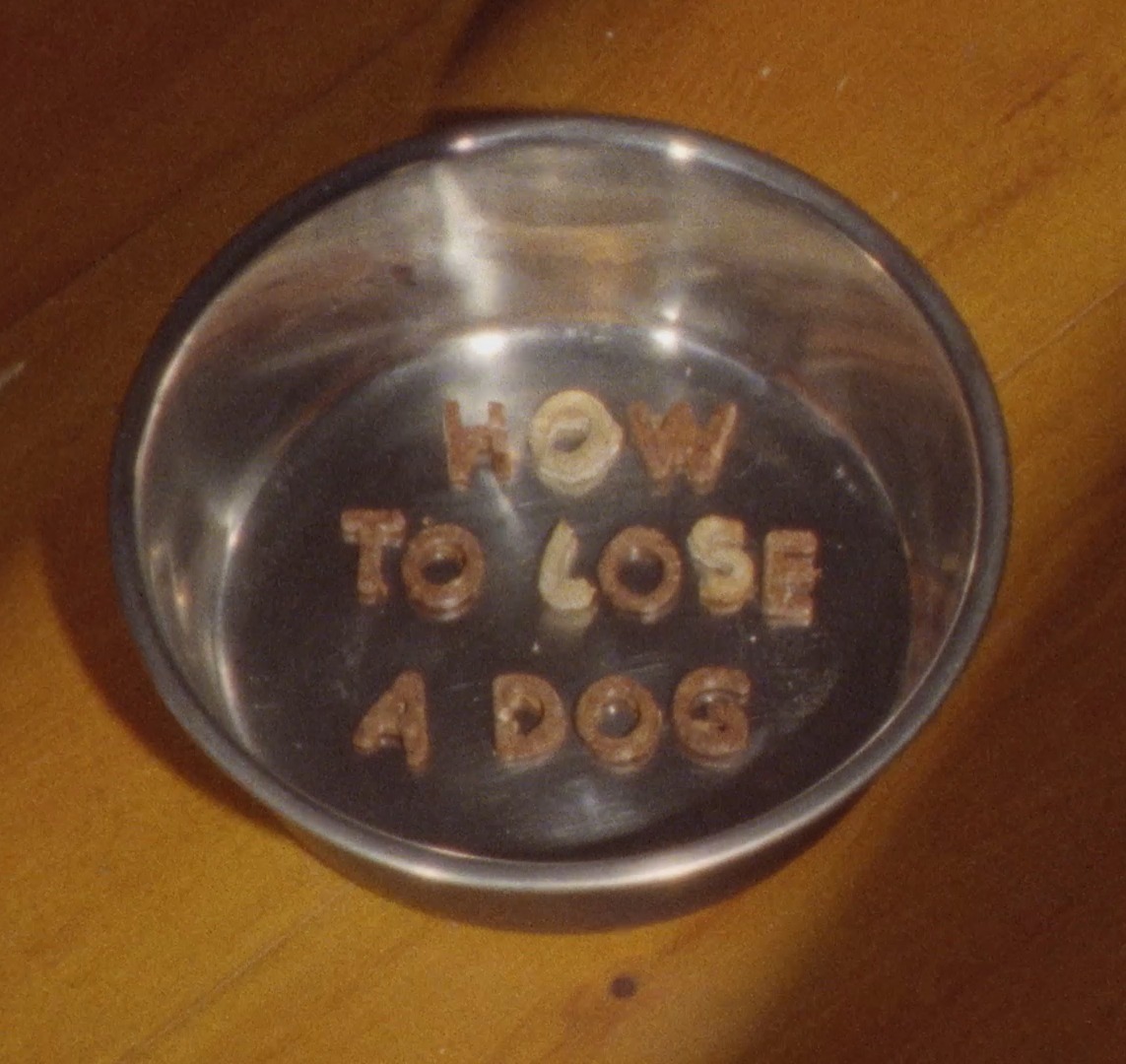 How To Lose A Dog